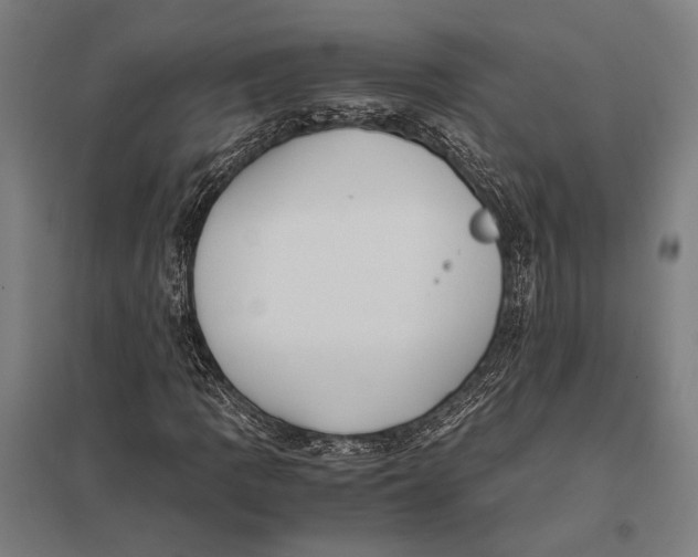 X0000097761109200803281627