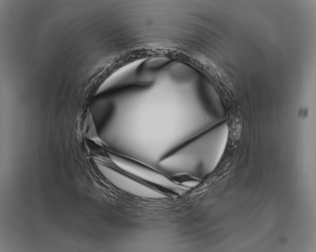 X0000097761110200803281627