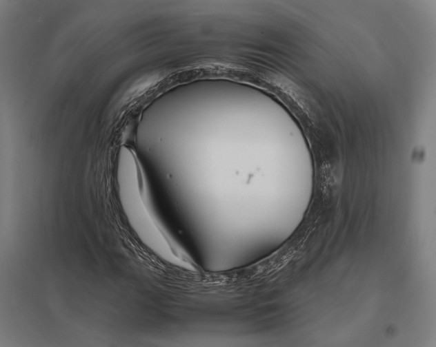 X0000097761111200803281627