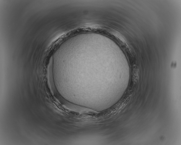 X0000097761112200803281627