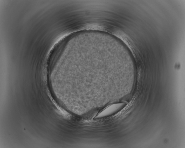 X0000097761115200803281627