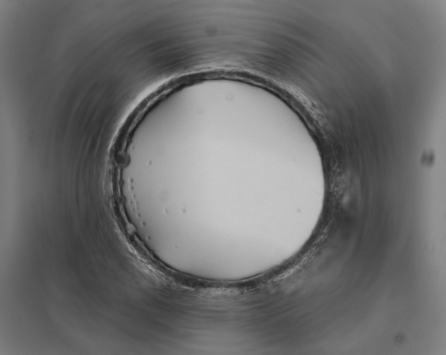 X0000097761118200803281627