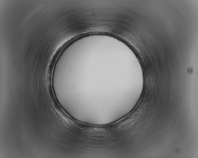 X0000097761119200803281627