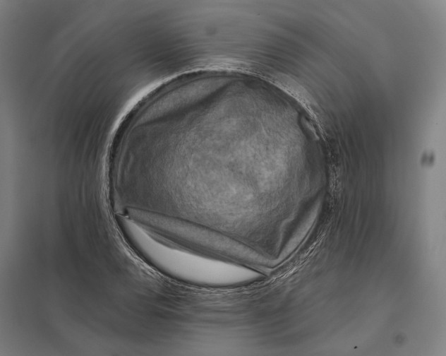 X0000097761120200803281627