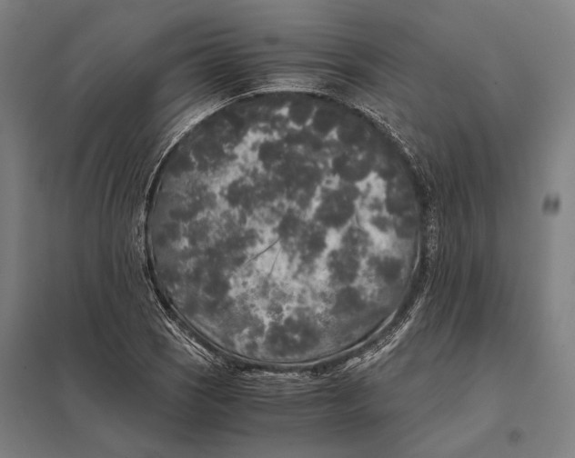 X0000097761121200803281627