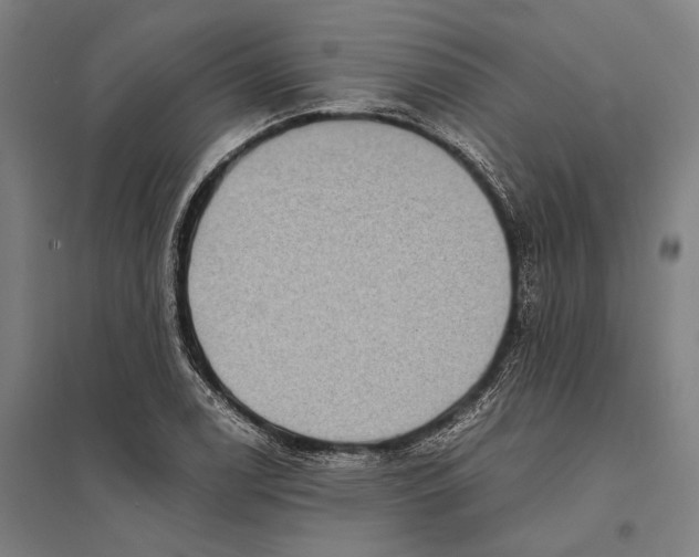 X0000097761122200803281627