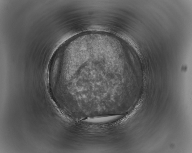 X0000097761125200803281627