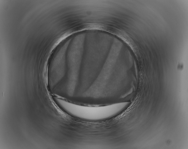 X0000097761127200803281627