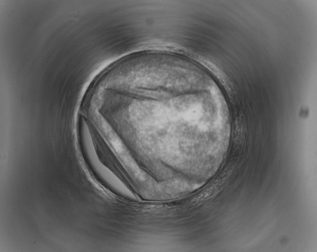 X0000097761128200803281627