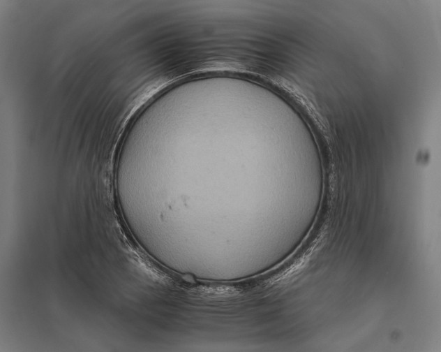 X0000097761129200803281627