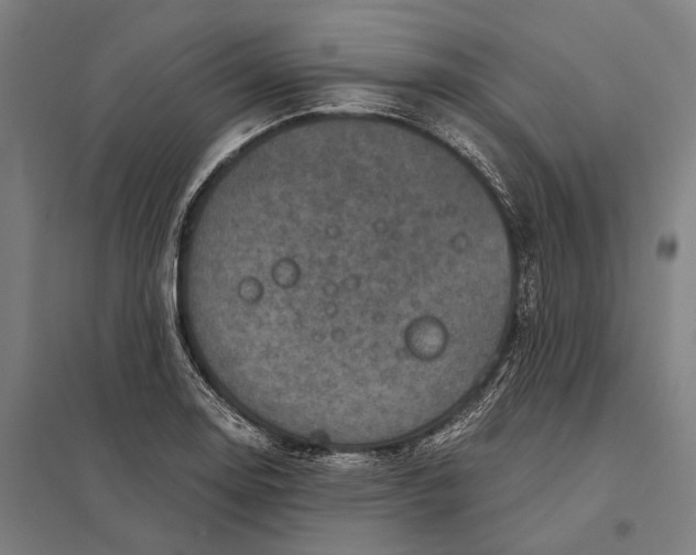 X0000097761130200803281627