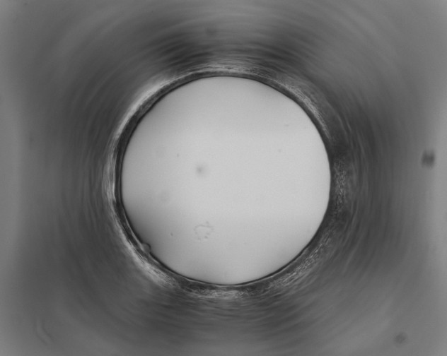 X0000097761131200803281627