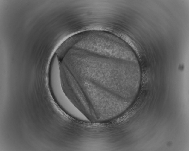 X0000097761132200803281627