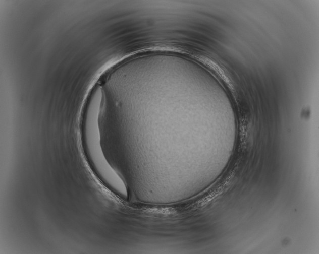 X0000097761133200803281627