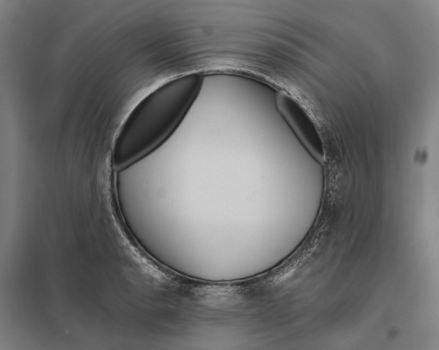 X0000097761134200803281627