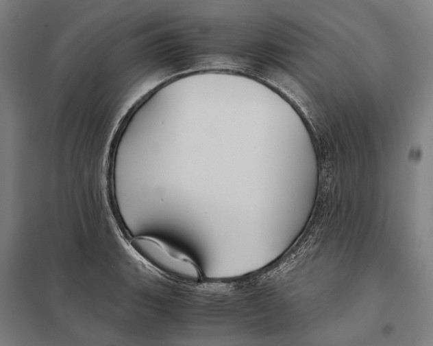 X0000097761135200803281627