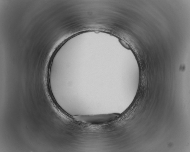 X0000097761136200803281627