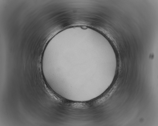 X0000097761137200803281627