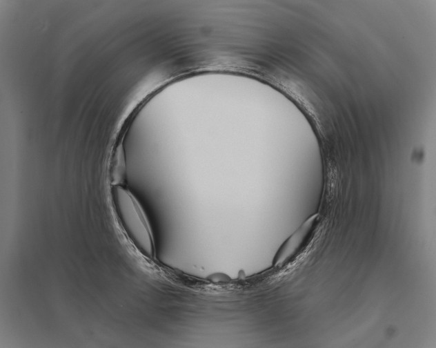 X0000097761138200803281627