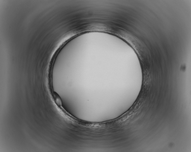 X0000097761139200803281627