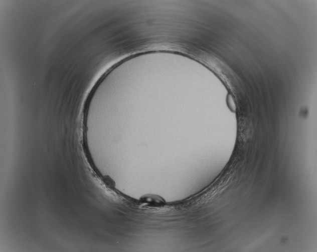 X0000097761140200803281627