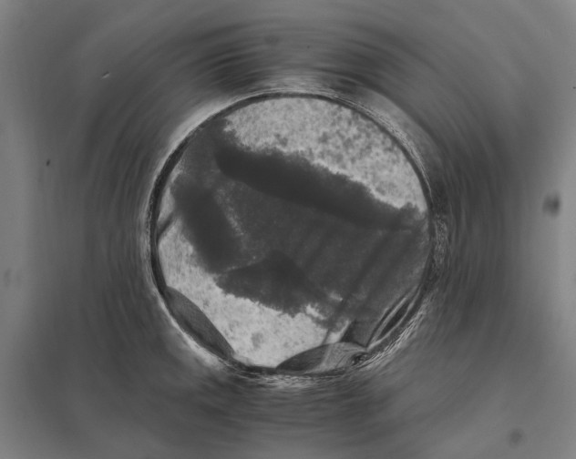 X0000097761141200803281627