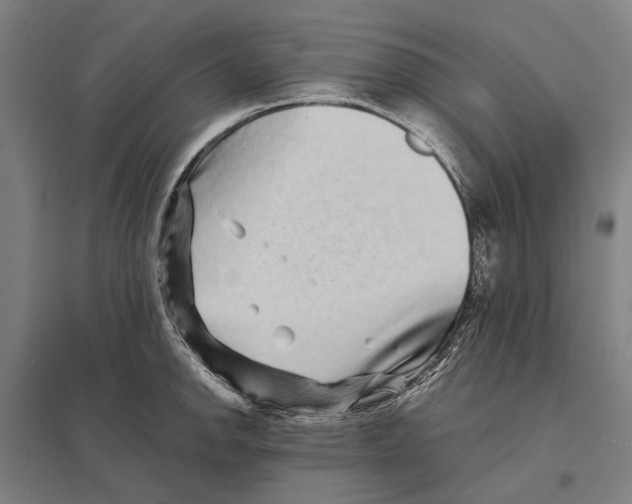 X0000097761142200803281627