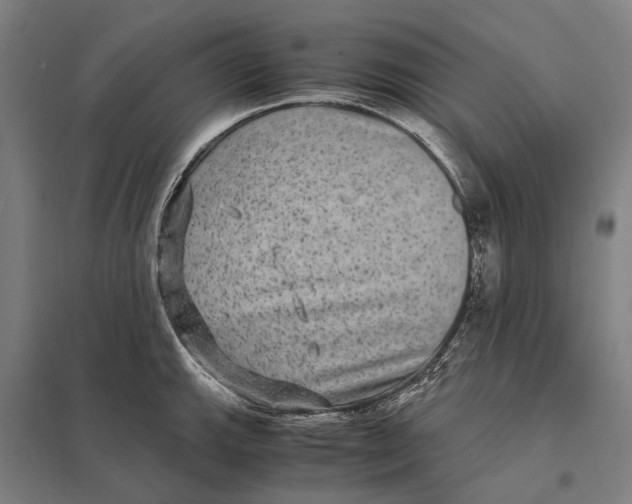 X0000097761143200803281627