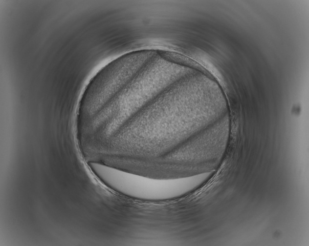 X0000097761144200803281627