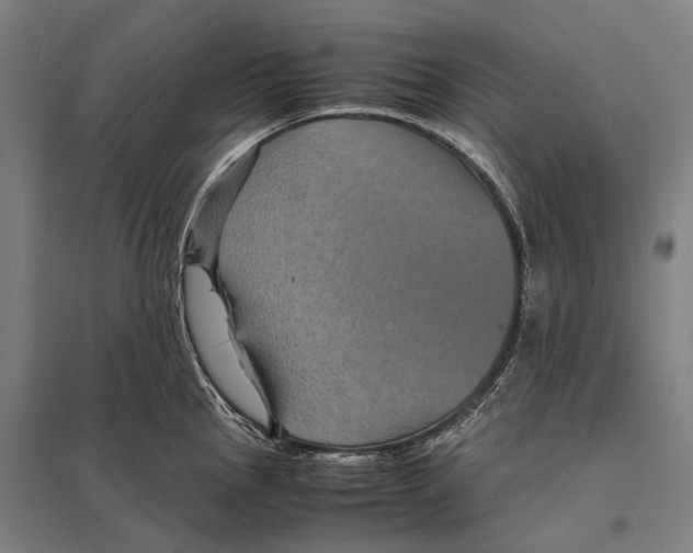 X0000097761145200803281627