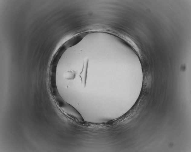 X0000097761146200803281627