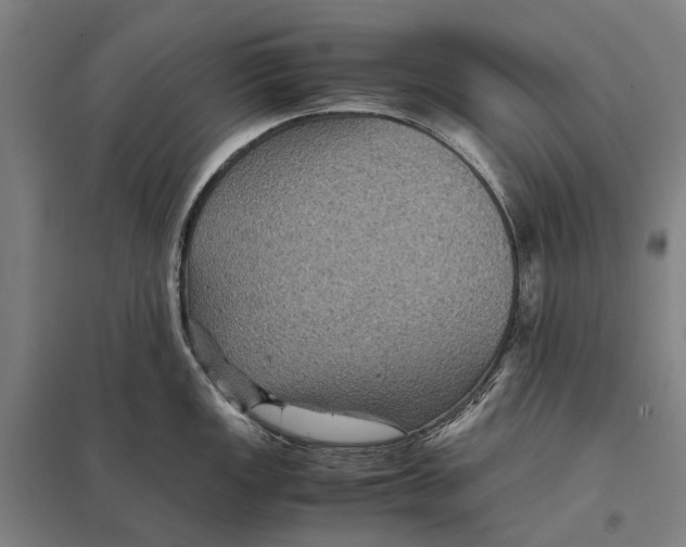 X0000097761149200803281627