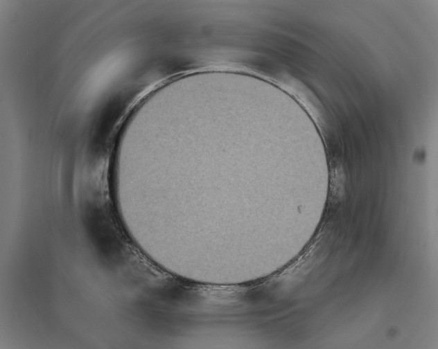 X0000097761150200803281627