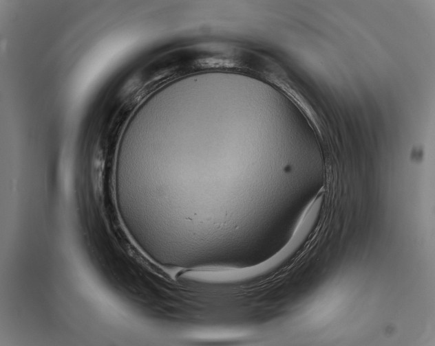 X0000097761151200803281627