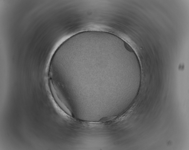 X0000097761152200803281627