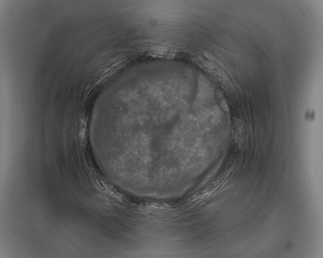 X0000097761154200803281627