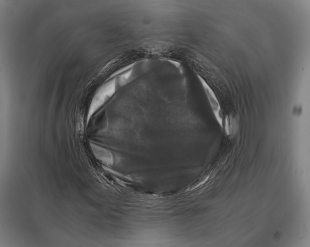 X0000097761155200803281627