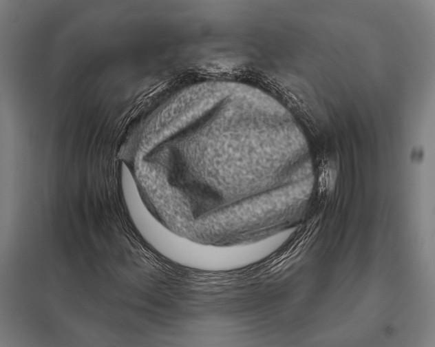 X0000097761156200803281627