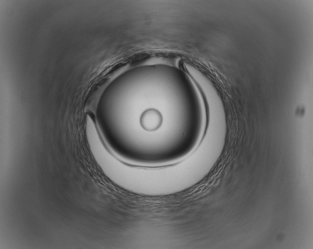 X0000097761157200803281627