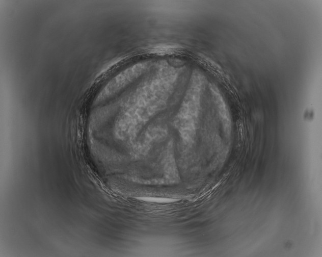 X0000097761158200803281627