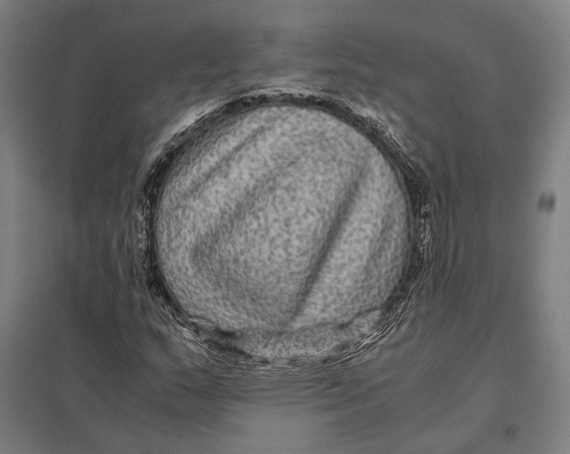 X0000097761159200803281627