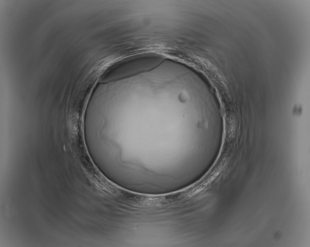 X0000097761161200803281627