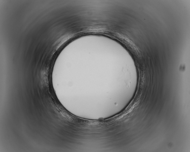 X0000097761162200803281627