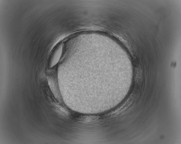 X0000097761163200803281627