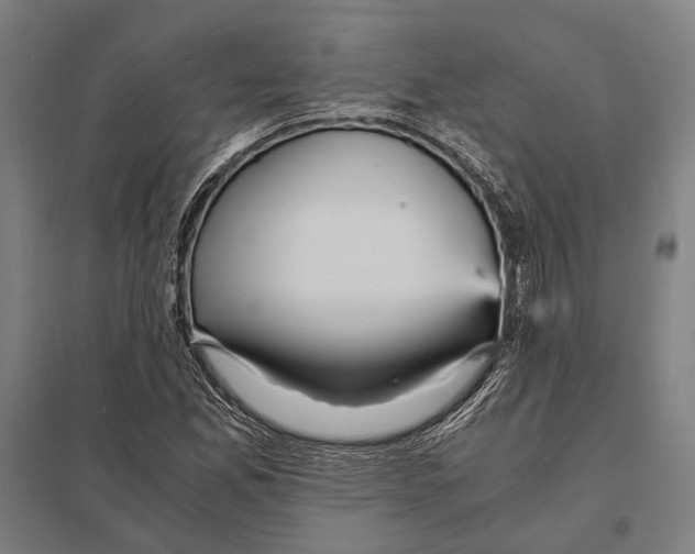 X0000097761165200803281627