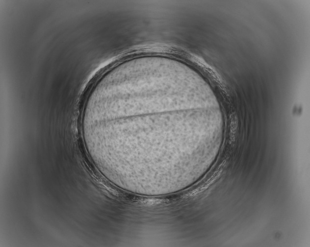 X0000097761166200803281627