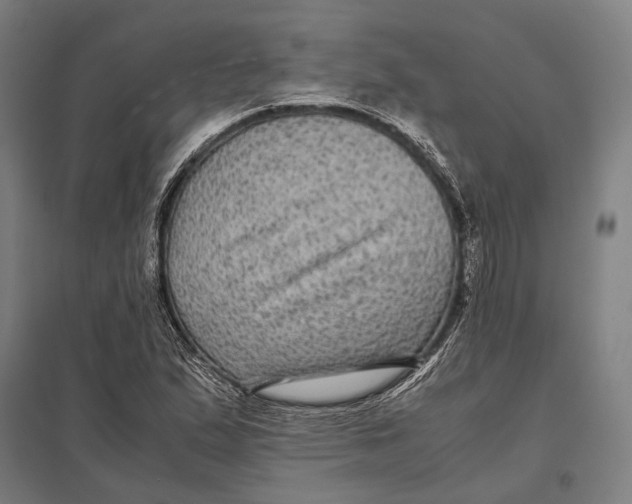 X0000097761167200803281627