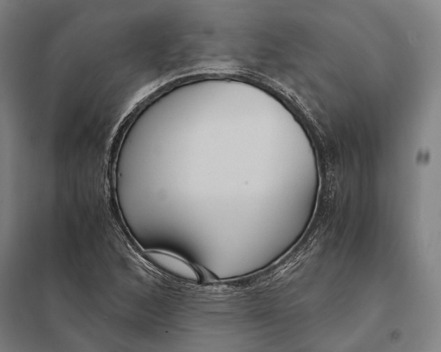 X0000097761168200803281627