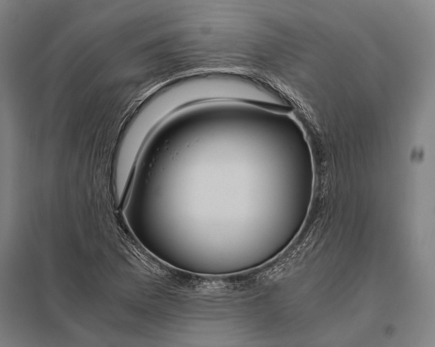 X0000097761169200803281627