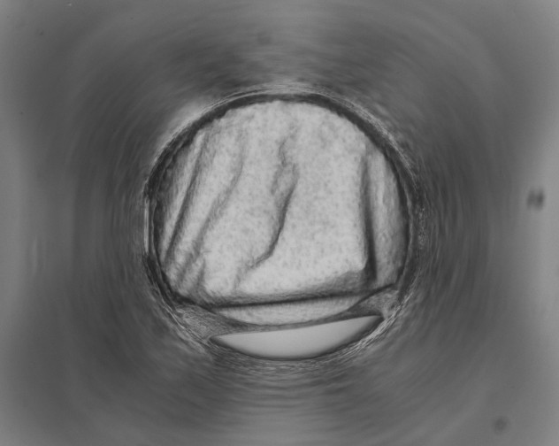 X0000097761171200803281627